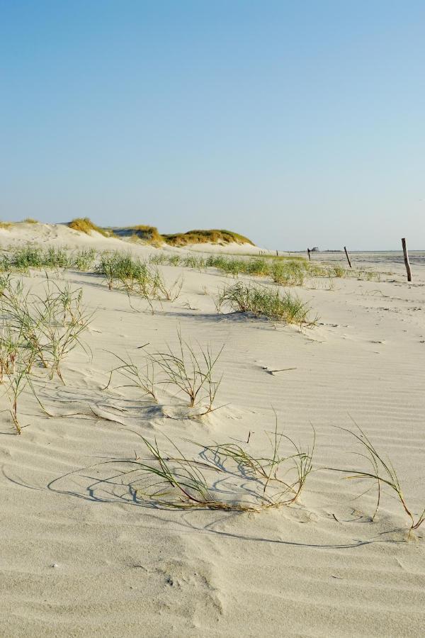 Ferienhus #1 Nordfriesland Daire Mildstedt Dış mekan fotoğraf